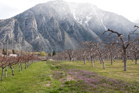 Keremeos-6261