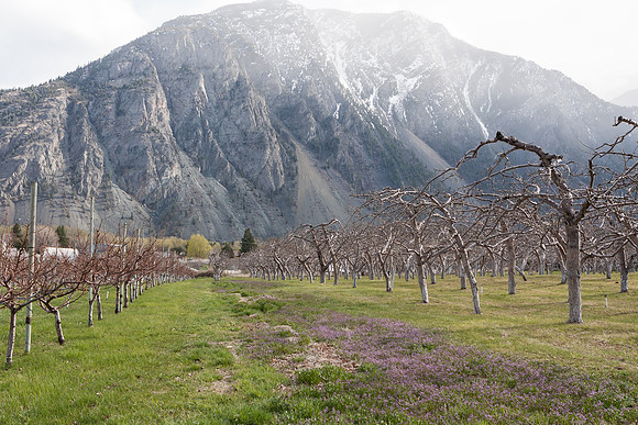 Keremeos-6261