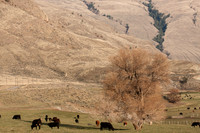 KEREMEOS, BC-6345