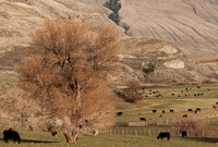 KEREMEOS, BC-6343