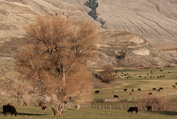 KEREMEOS, BC-6343