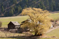 Okanagan-6604