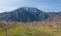 KEREMEOS, BC-6774