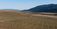 Okanagan-6738