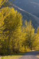 Okanagan, BC-6546