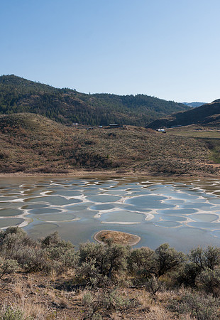 Okanagan-6699